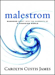 Malestrom cover art - border
